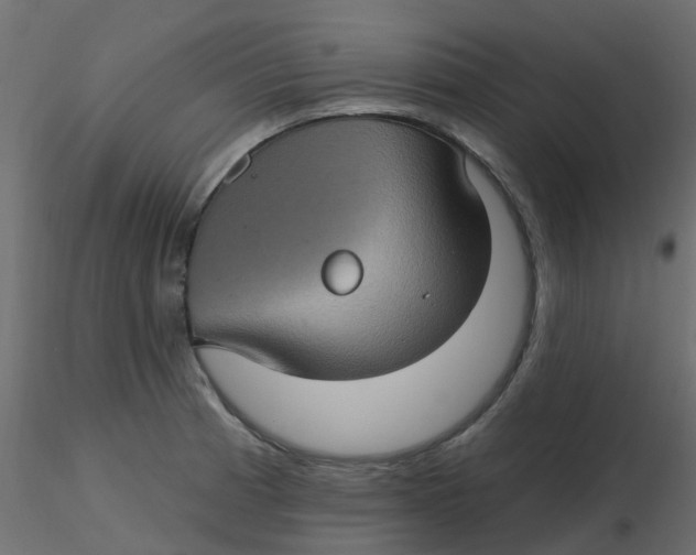 X0000116611185200912312111