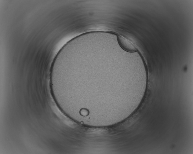 X0000116611187200912312111