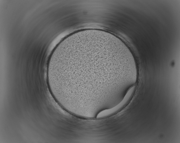 X0000116611188200912312111