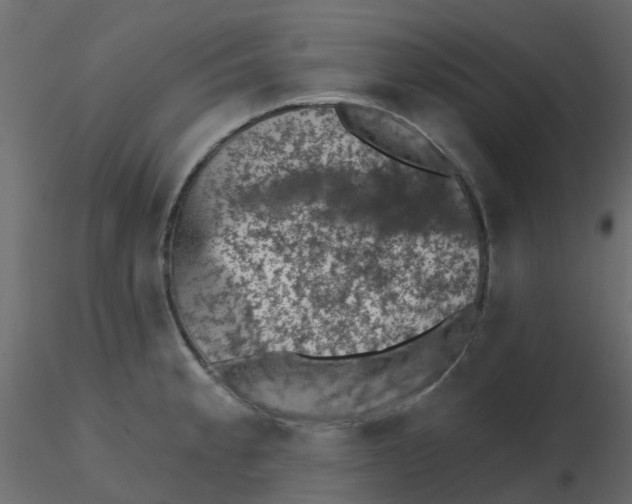 X0000116611189200912312111