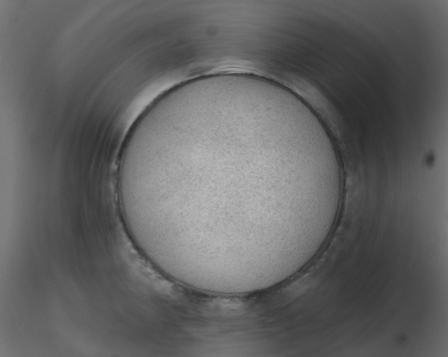 X0000116611190200912312111