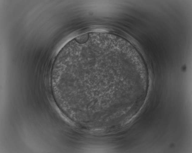 X0000116611194200912312111