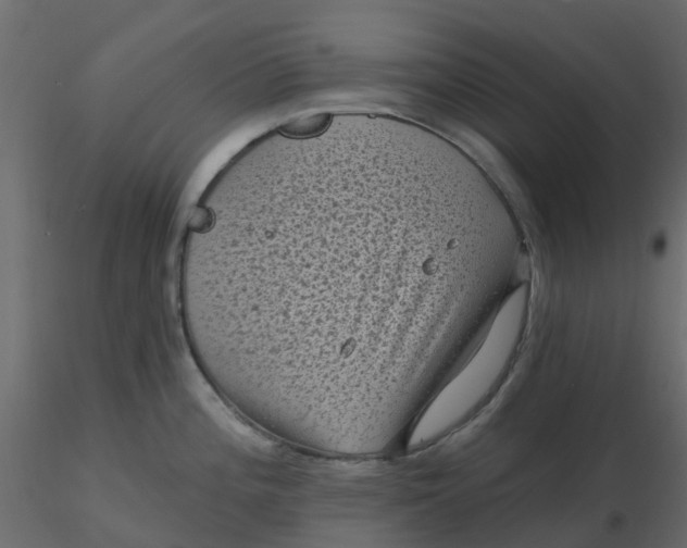 X0000116611196200912312111