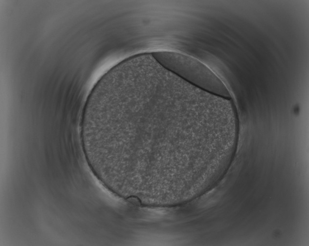 X0000116611197200912312111