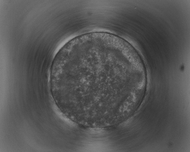 X0000116611198200912312111