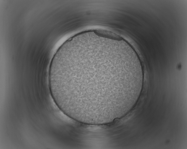 X0000116611199200912312111