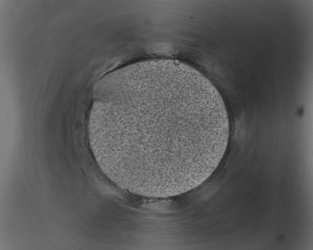 X0000116611201200912312111