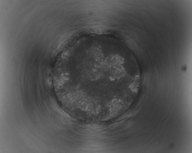 X0000116611202200912312111