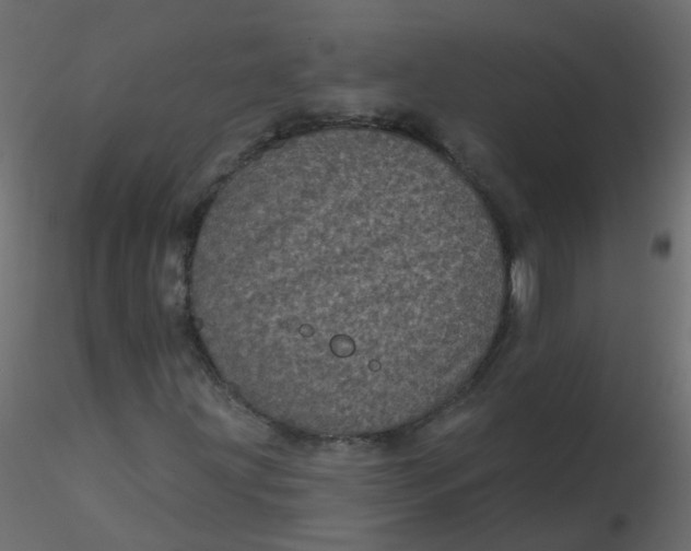 X0000116611203200912312111