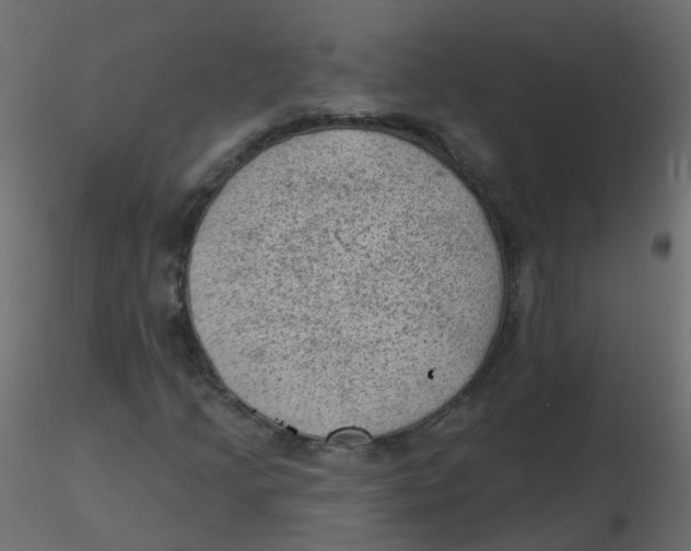 X0000116611205200912312111