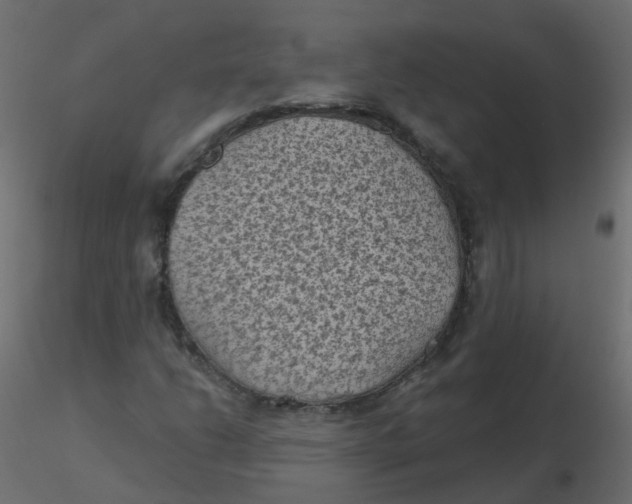 X0000116611206200912312111