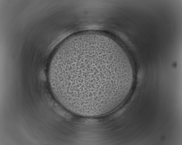 X0000116611209200912312111