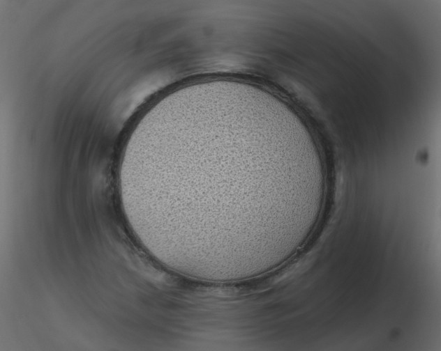 X0000116611210200912312111