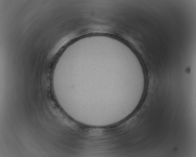 X0000116611211200912312111