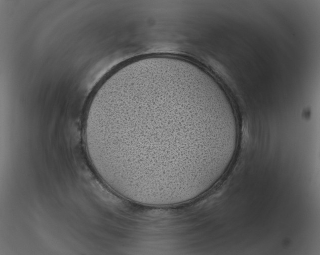 X0000116611212200912312111