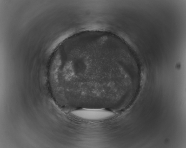 X0000116611213200912312111