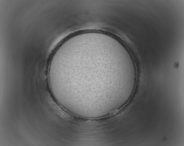 X0000116611216200912312111