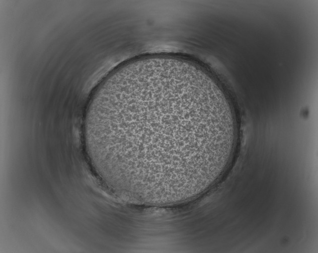 X0000116611217200912312111