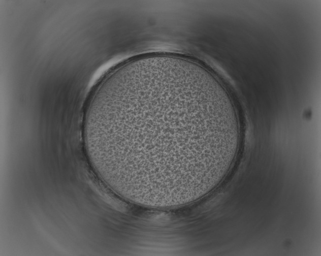 X0000116611222200912312111