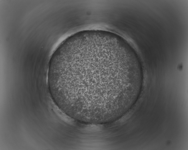 X0000116611224200912312111