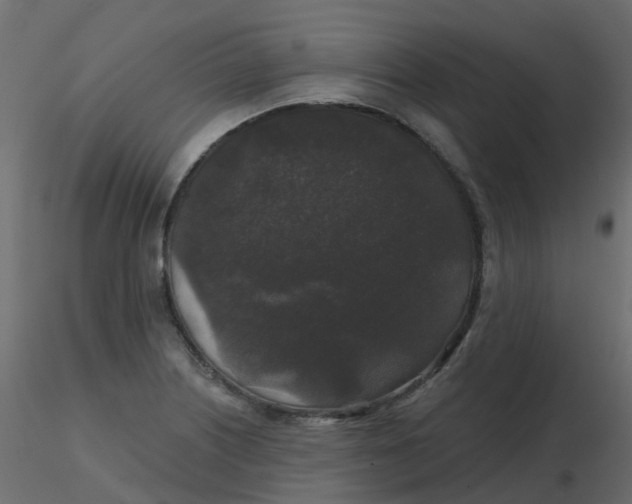 X0000116611226200912312111