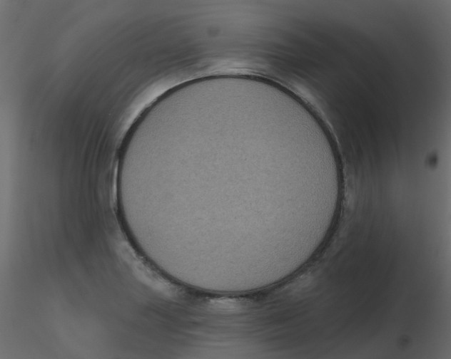 X0000116611227200912312111