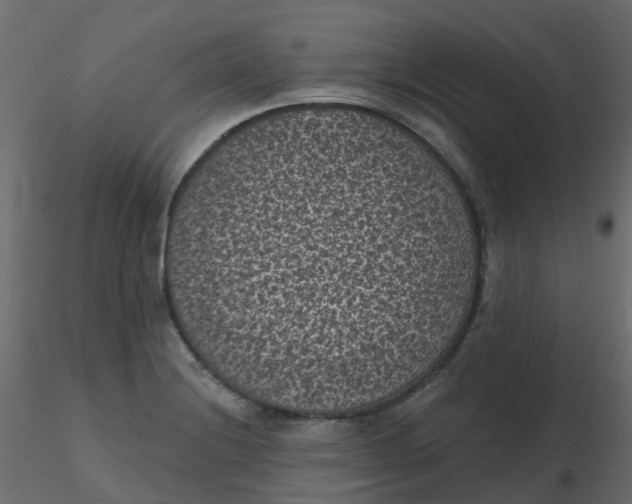 X0000116611228200912312111