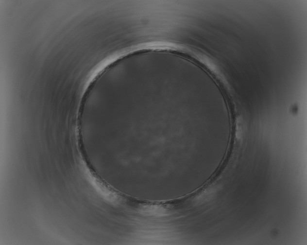 X0000116611229200912312111