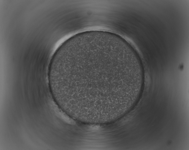 X0000116611230200912312111