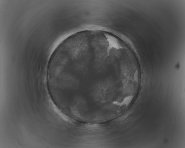 X0000116611231200912312111