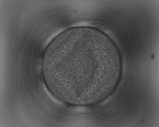 X0000116611233200912312111