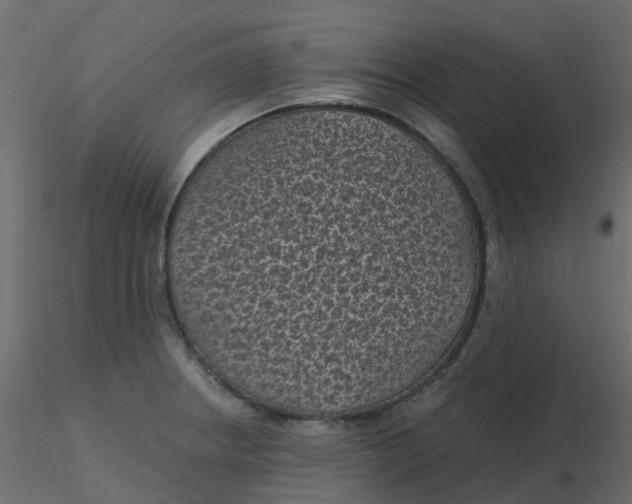 X0000116611234200912312111