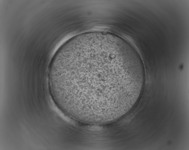 X0000116611235200912312111