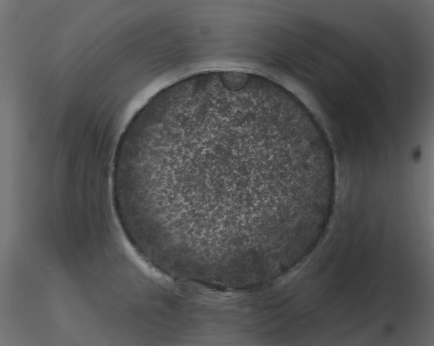 X0000116611237200912312111