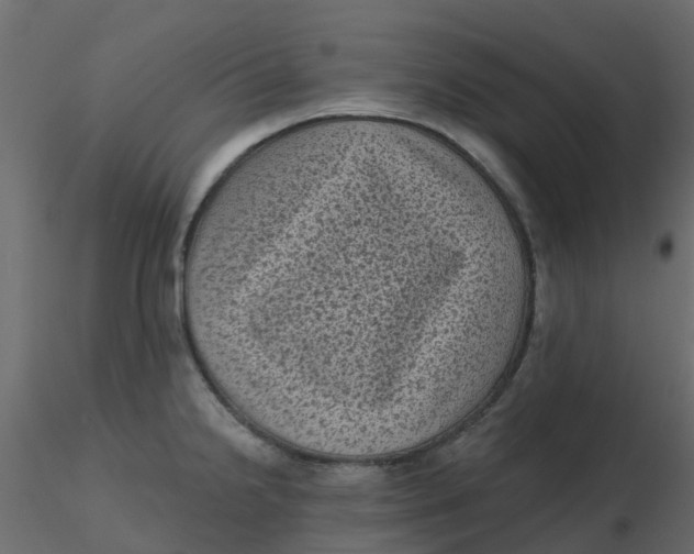 X0000116611238200912312111