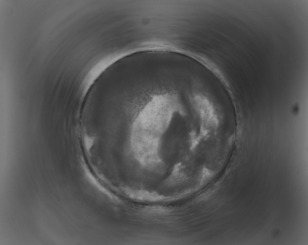 X0000116611239200912312111