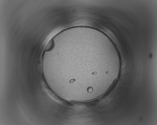 X0000116611242200912312111