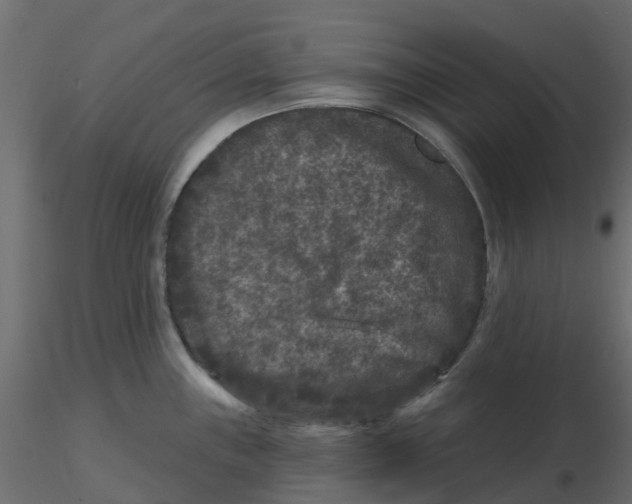 X0000116611243200912312111