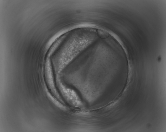 X0000116611245200912312111