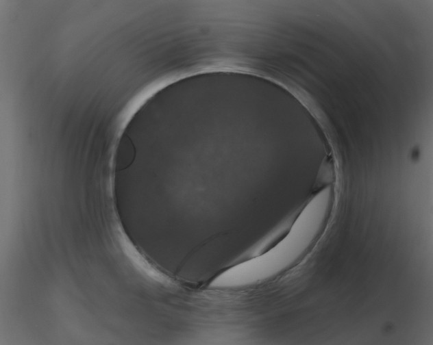 X0000116611246200912312111