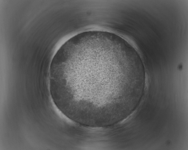 X0000116611247200912312111