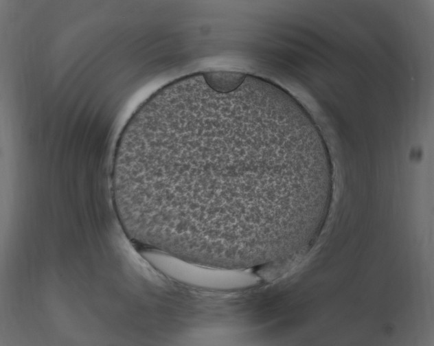 X0000116611248200912312111