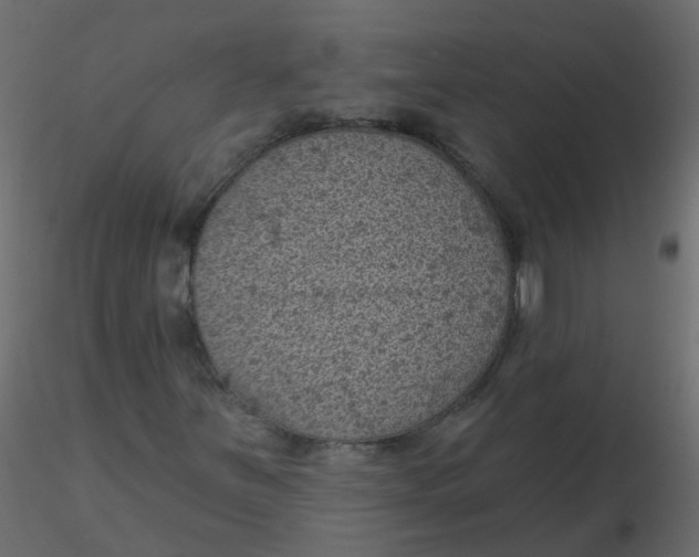 X0000116611251200912312110