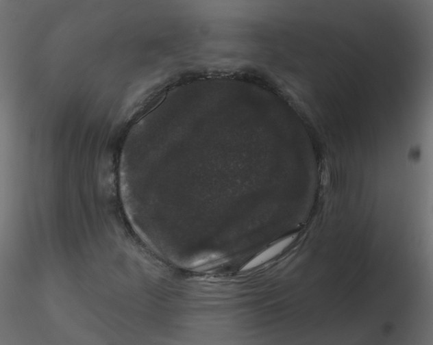 X0000116611252200912312110