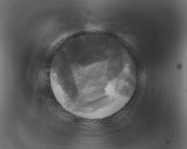 X0000116611254200912312110