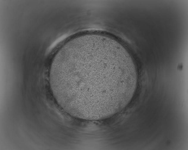 X0000116611255200912312110