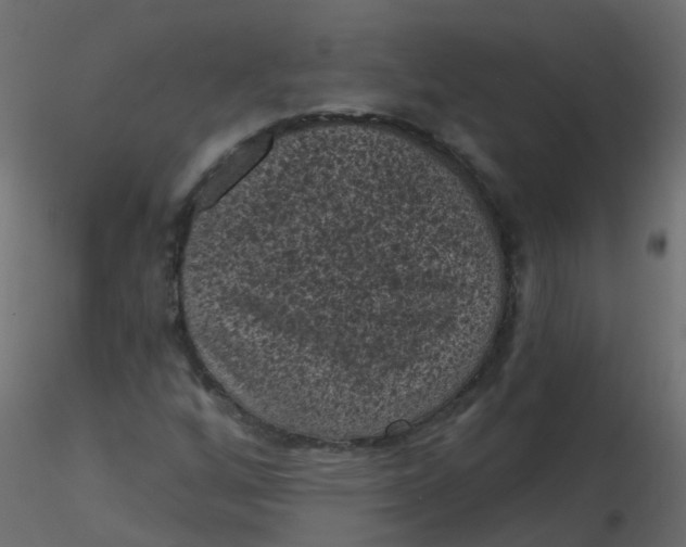 X0000116611256200912312110