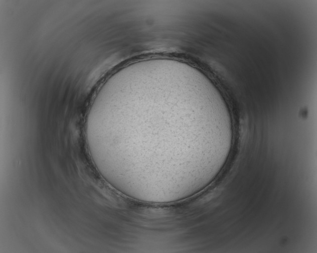 X0000116611257200912312110