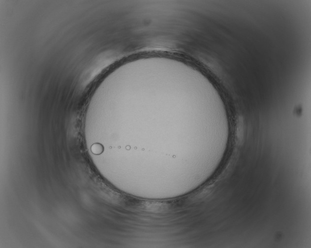 X0000116611258200912312110