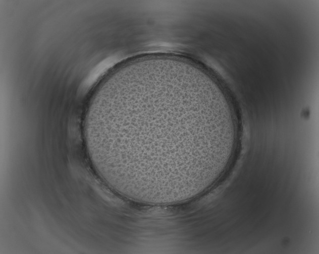 X0000116611259200912312110